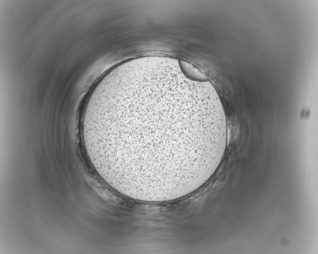 X0000093750339200711131130