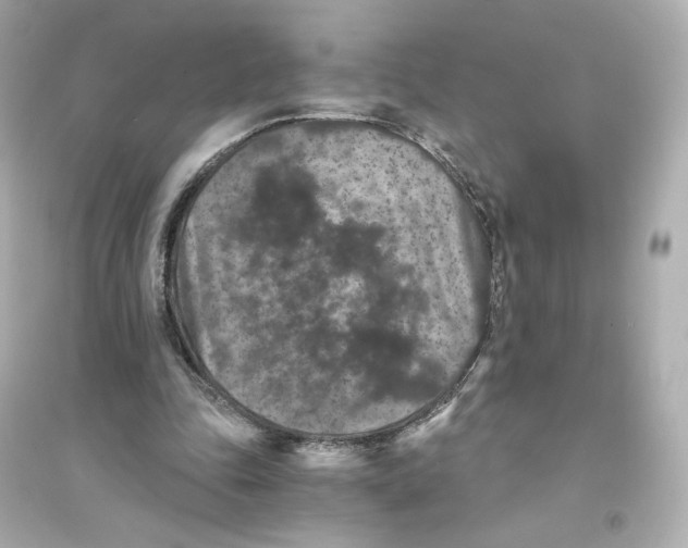 X0000093750343200711131130