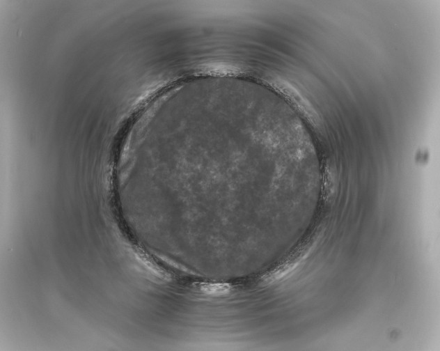 X0000093750355200711131130