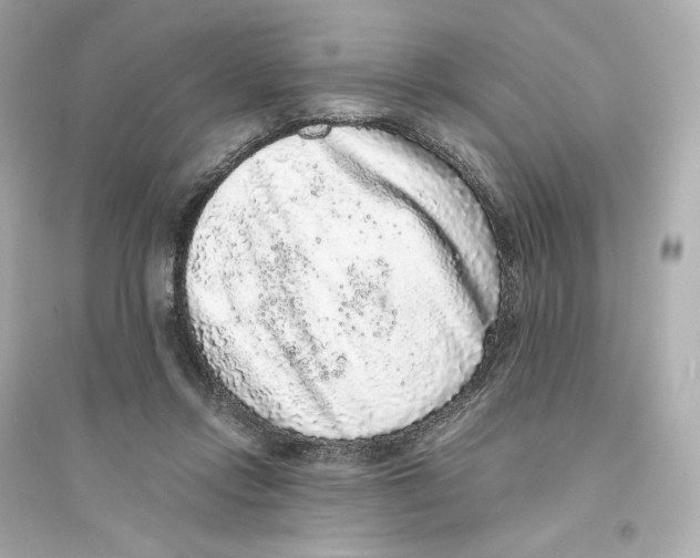 X0000093750358200711131130