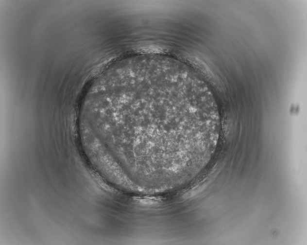 X0000093750359200711131130