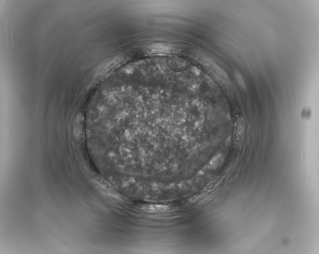 X0000093750361200711131130