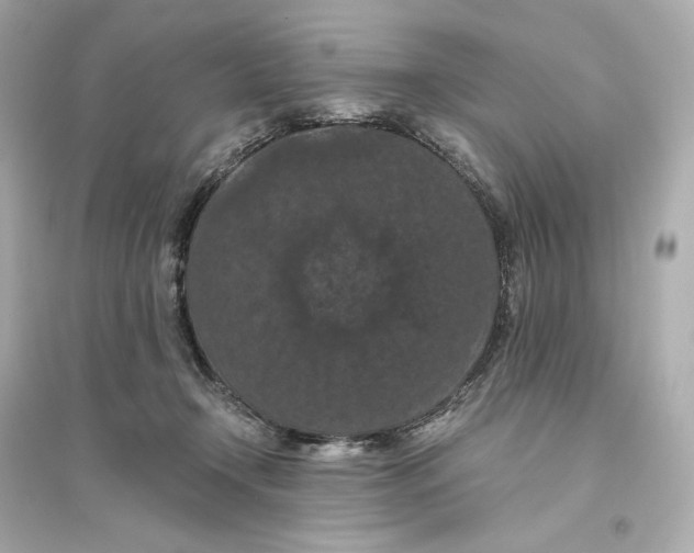 X0000093750366200711131130