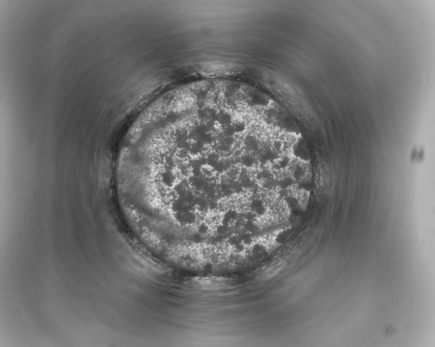 X0000093750367200711131130