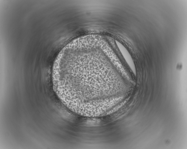 X0000093750369200711131130