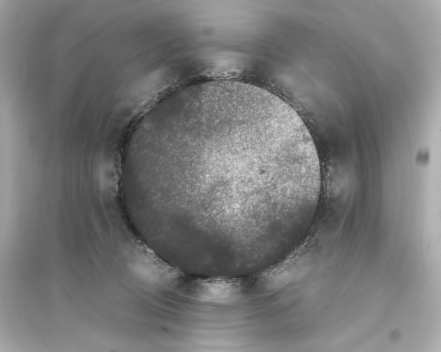 X0000093750370200711131131