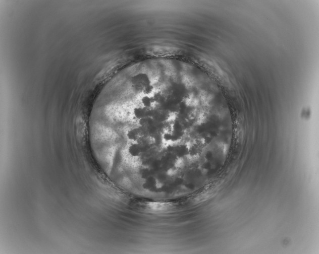 X0000093750371200711131131