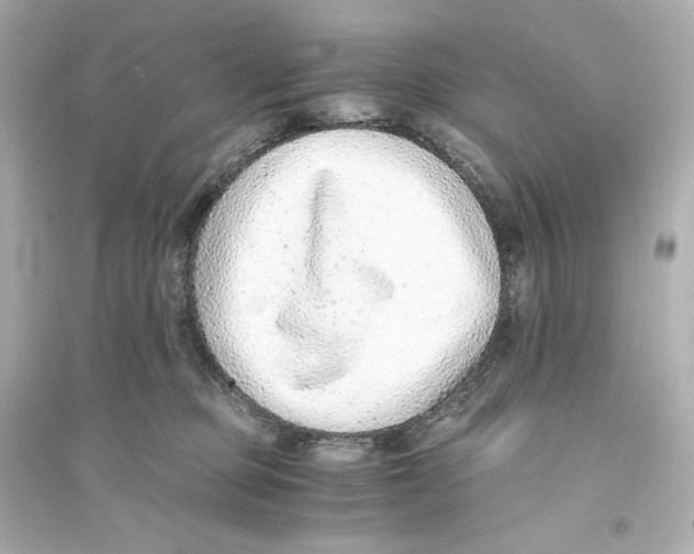 X0000093750373200711131131