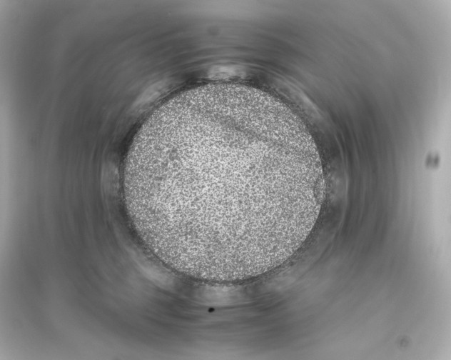 X0000093750375200711131131