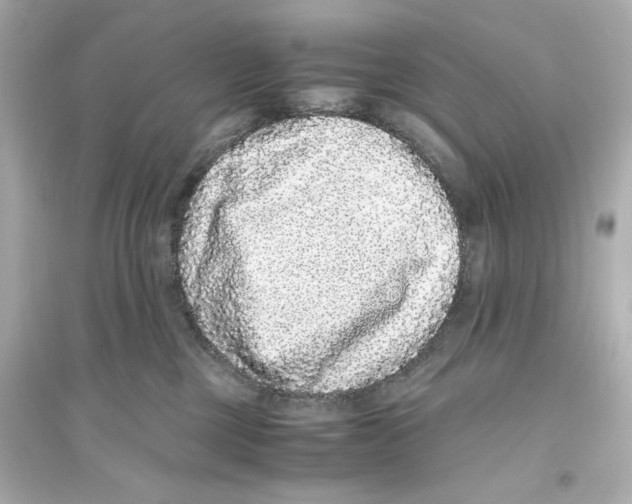 X0000093750377200711131131