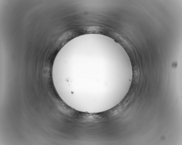 X0000093750379200711131131