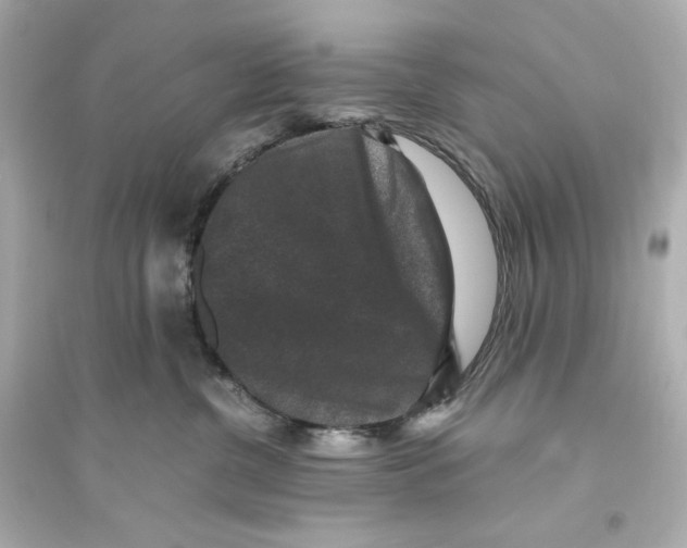 X0000093750380200711131131