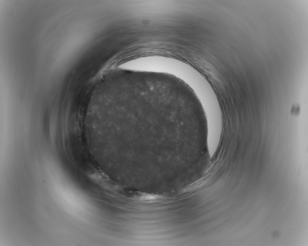 X0000093750382200711131131