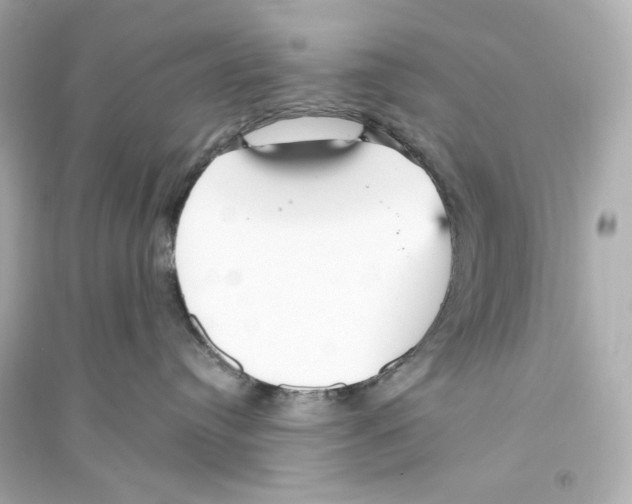 X0000093750384200711131131