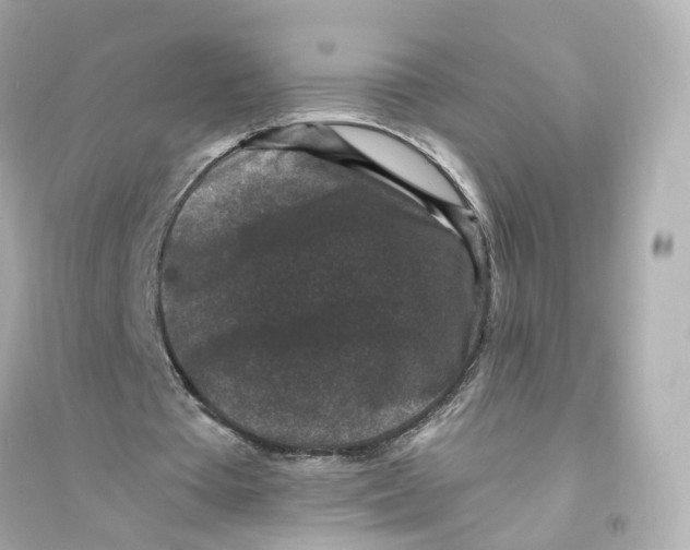 X0000093750385200711131130