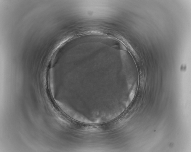 X0000093750386200711131130