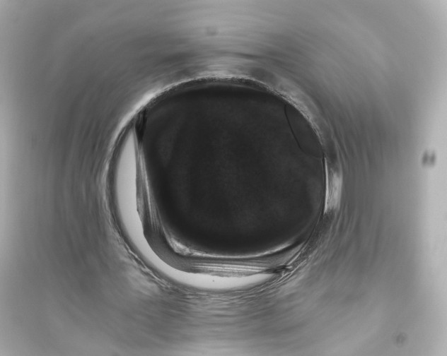 X0000093750387200711131130