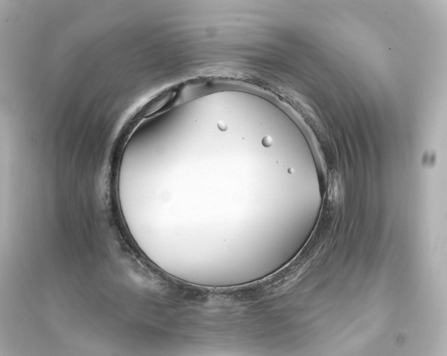 X0000093750388200711131130