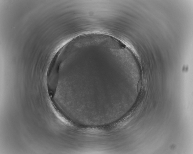 X0000093750389200711131130