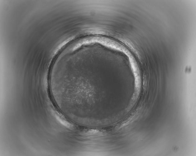 X0000093750390200711131130