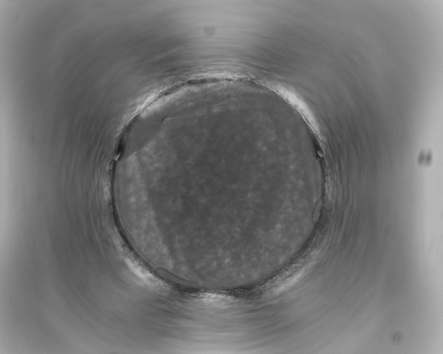 X0000093750393200711131130