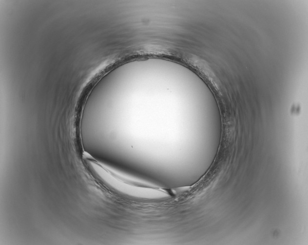 X0000093750395200711131130