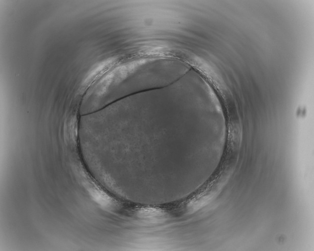 X0000093750397200711131130