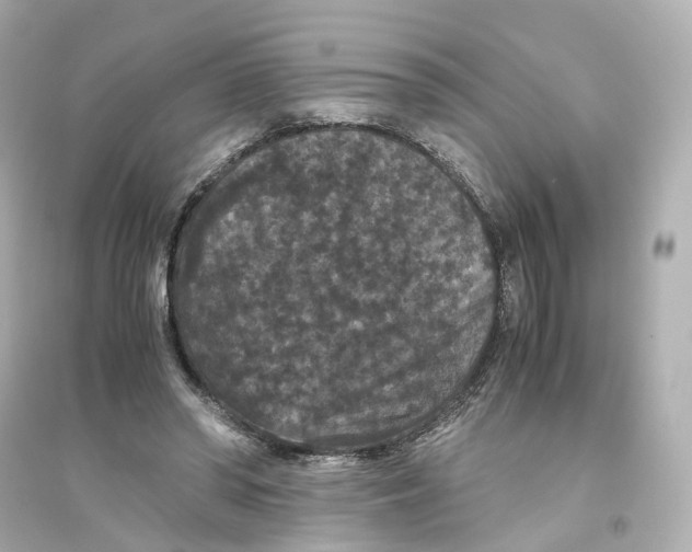 X0000093750398200711131130