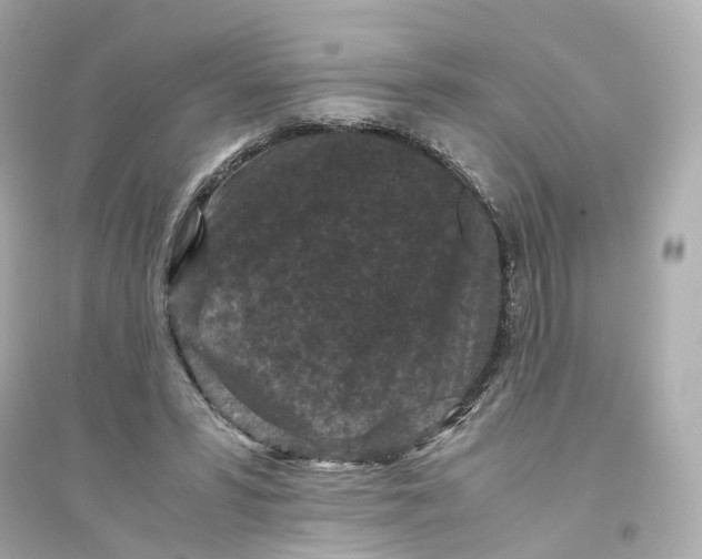 X0000093750399200711131130