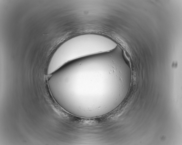 X0000093750401200711131130