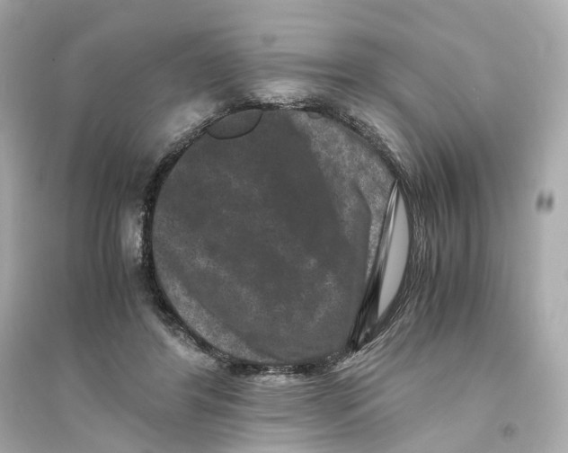 X0000093750404200711131130