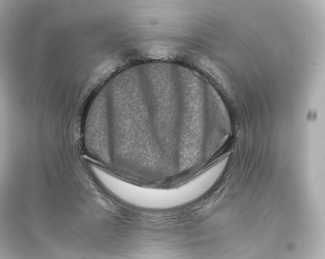 X0000093750407200711131130