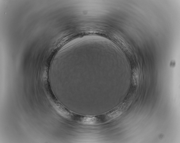 X0000093750410200711131130