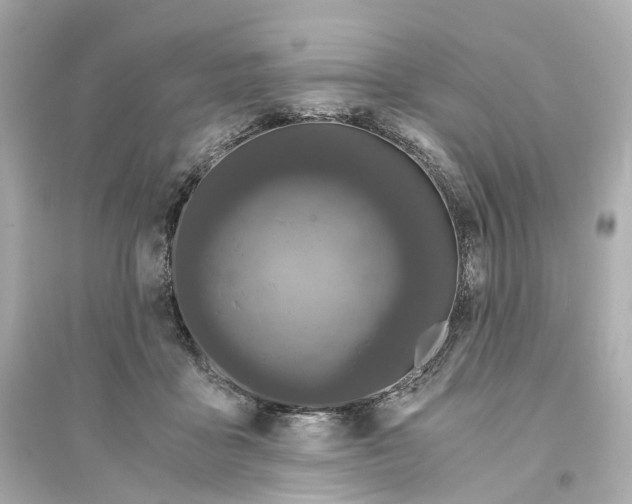 X0000093750411200711131130