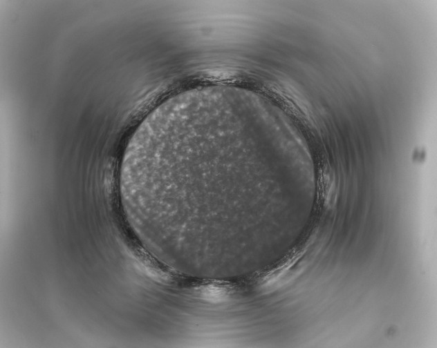 X0000093750412200711131130