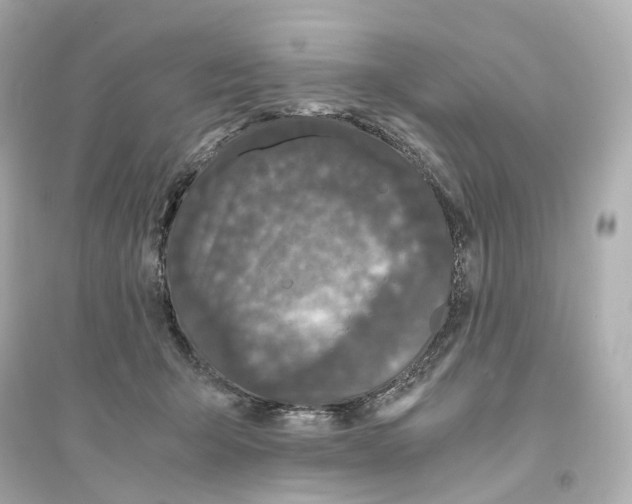 X0000093750415200711131129