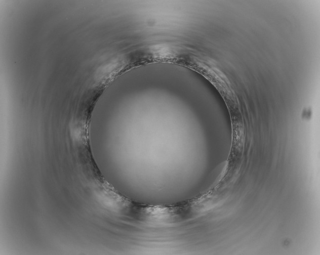 X0000093750419200711131129