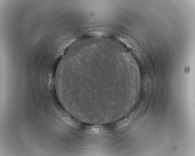 X0000093750420200711131129