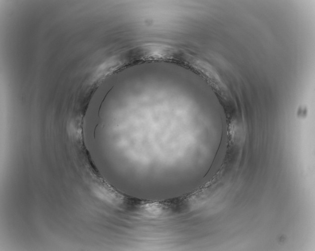 X0000093750423200711131129