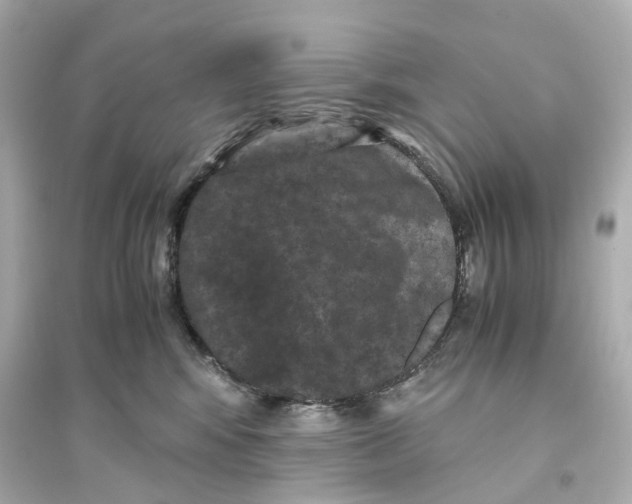 X0000093750424200711131129