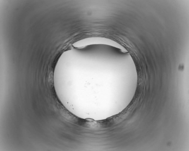 X0000093750425200711131129