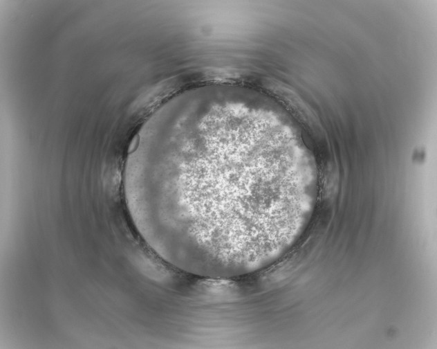 X0000093750427200711131129