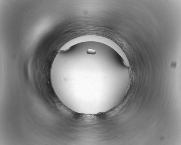 X0000093750429200711131129