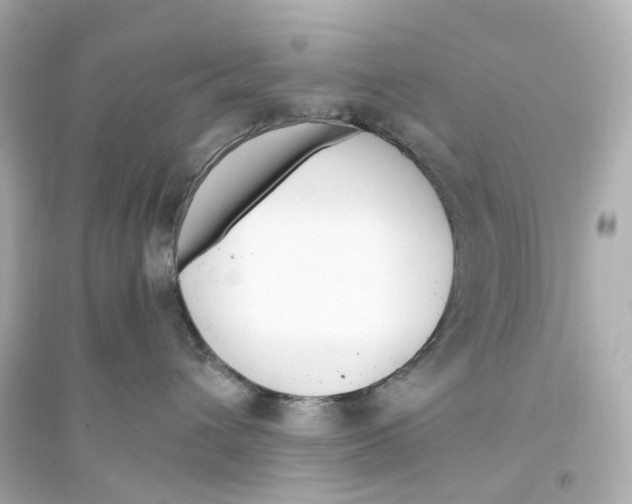 X0000093750432200711131129