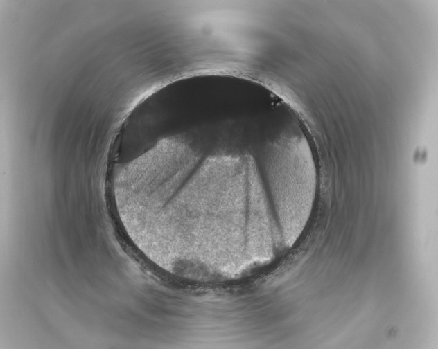 X0000093750434200711131129