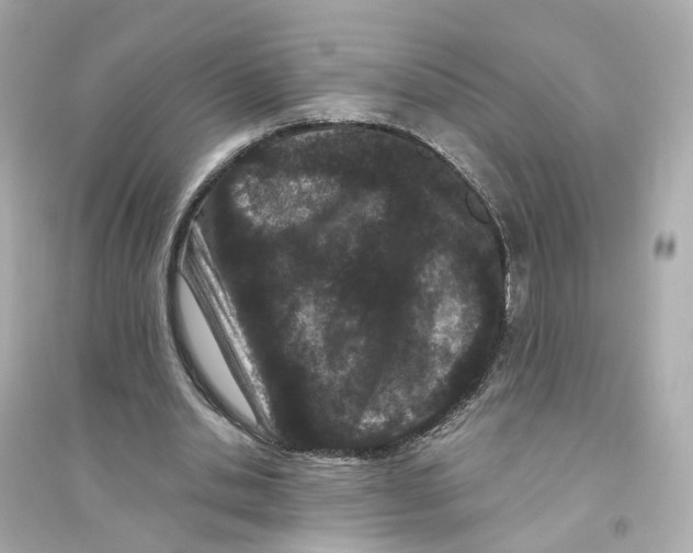 X0000093750438200711131129