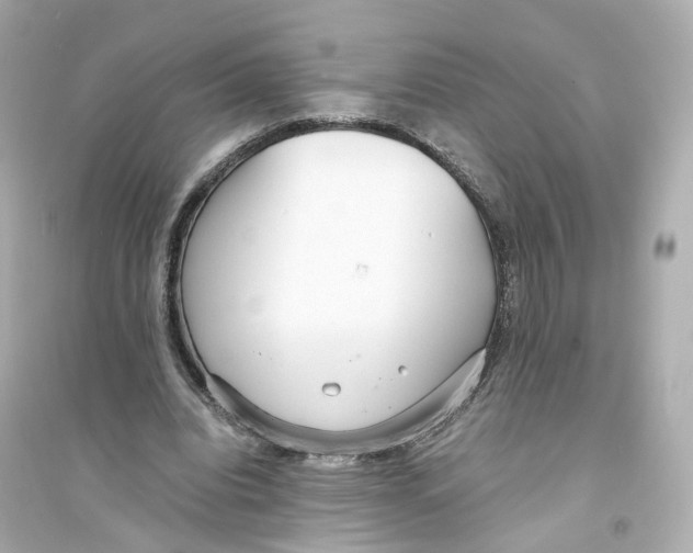 X0000093750440200711131129