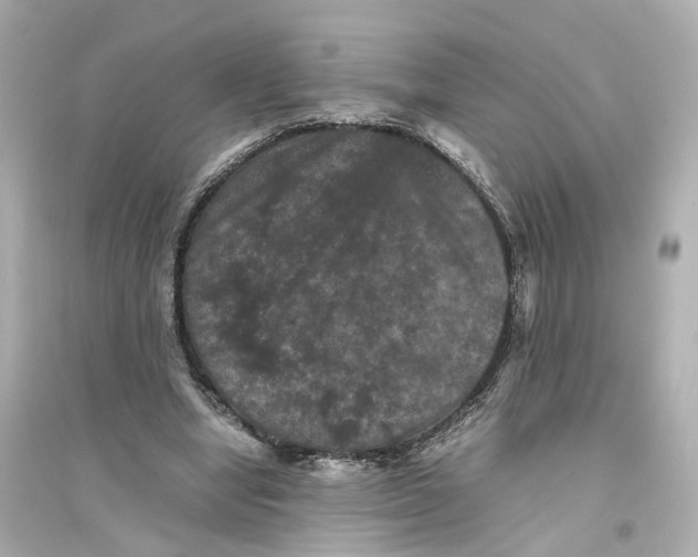 X0000093750442200711131129