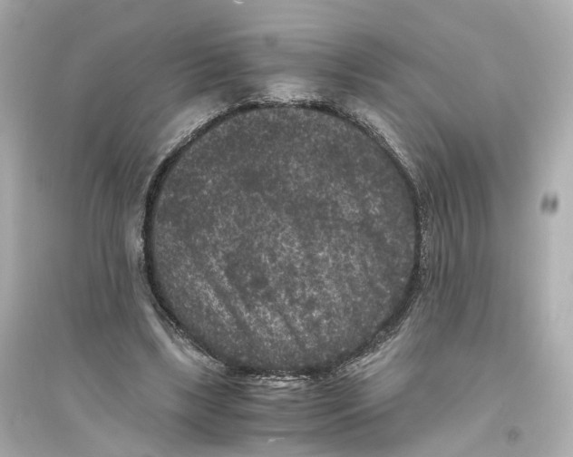 X0000093750443200711131129