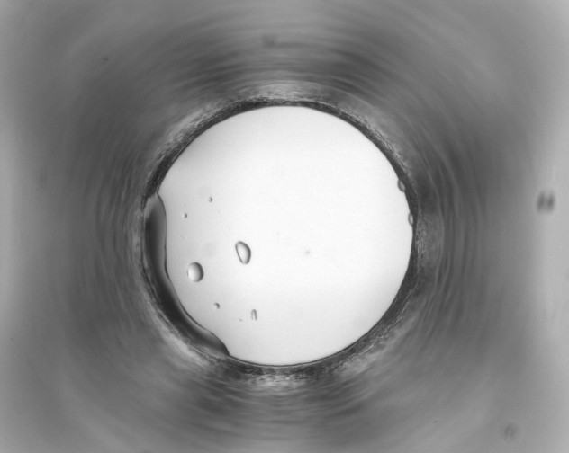 X0000093750445200711131129